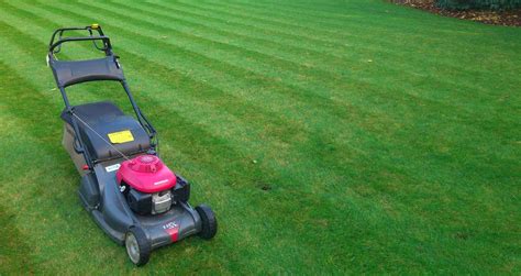 Our weekly lawn care service includes professional mowing, trimming and blowing off all hard surfaces. Choosing the Right Lawn Service in Tampa Bay | Landcrafters FL