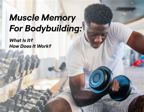 Muscle Memory For Bodybuilding What Is It How Does It Work Fitbod