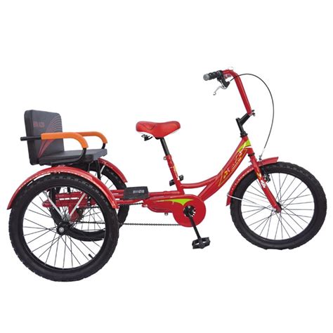 Gas Powered Adult Tricycle With Rear Cargo Bike For Shoppingtwo Seats