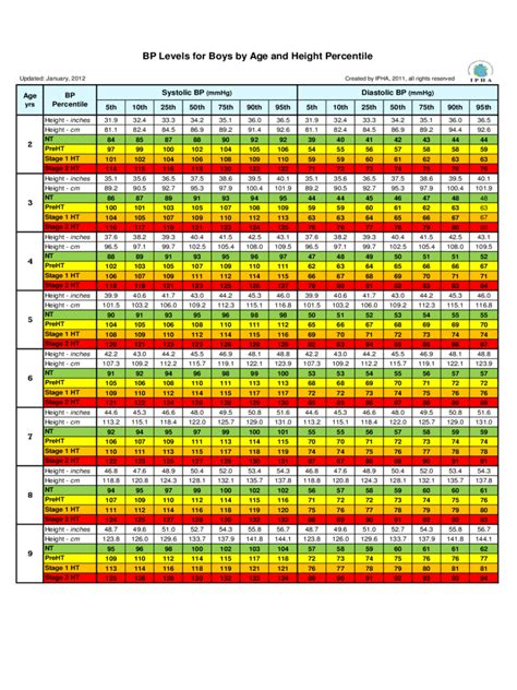 Blood Pressure Chart By Age And Gender Pdf United States Tutorials