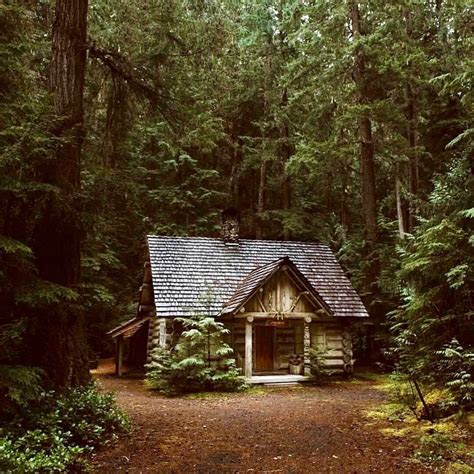 Using the regional ingredients she rummages, she takes advantage of the blessings and overcomes the harshness of nature to survive herself during changing seasons. Cosy little cabin in the forest :-) | Cabins in the woods ...