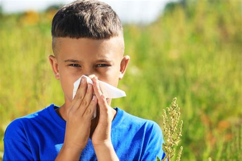 Diagnosis And Treatment Of Allergic Rhinitis Chacko Allergy