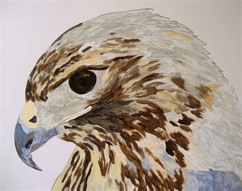 Mary Arneson Fine Art Hawk Acrylic Paintings By Colorado Artist Mary