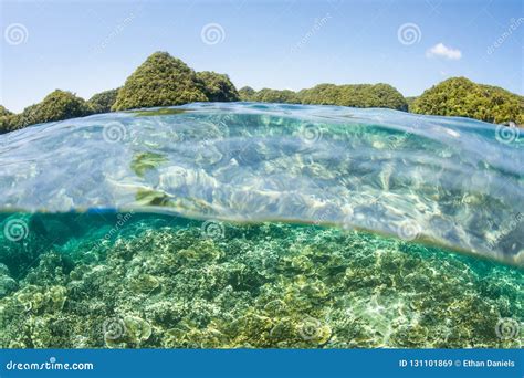 Coral Reef And Limestone Islands In Palau Stock Image Image Of