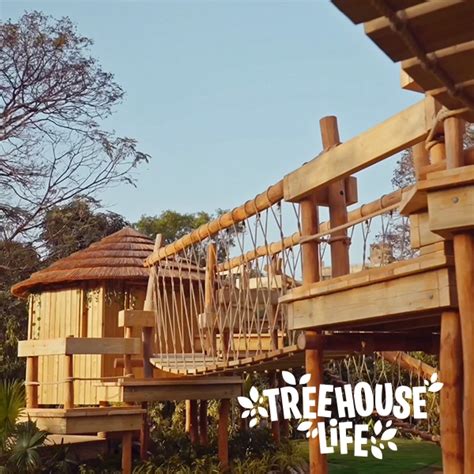 Treehouse Rope Bridge Treetop Walkway Builders And Designers