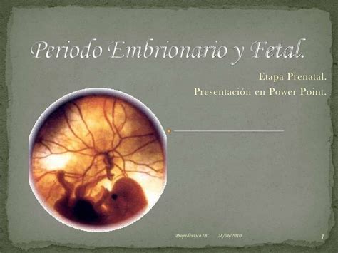 Periodo Embrionario Y Fetal By Joanna Moreno Via Slideshare Prenatal