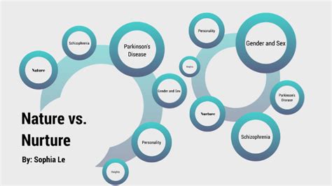 Nature Vs Nurture Mind Map By Baonhi Le On Prezi Next