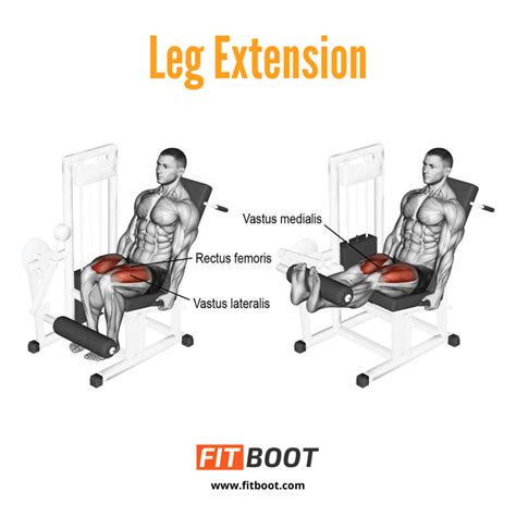 Leg Extension How To Benefits Variations And Muscles Worked