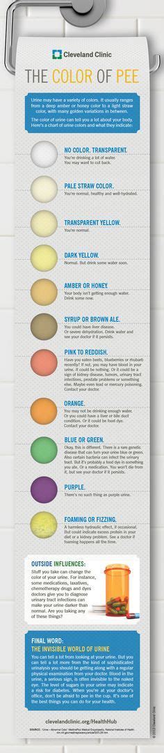 Health Infographic What The Color Of Your Pee Says About Your Health