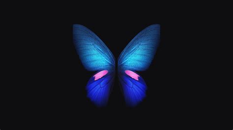🔥 Download Samsung Galaxy Fold Blue Butterfly 4k Wallpaper Hd By
