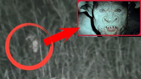 Unknown Creatures And Paranormal Activities Recorded On Video Youtube