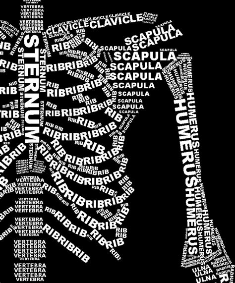 Skeleton Typography Elizabeth Parkin