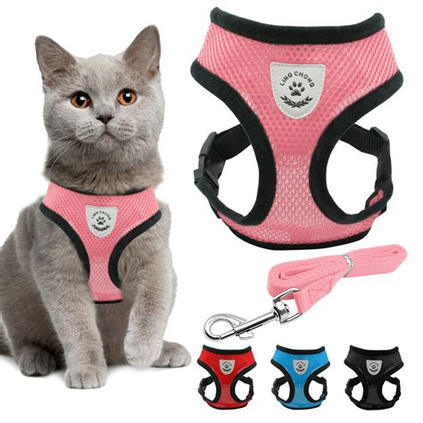 Kitten harnesses are sized appropriately for small cats. Cat Jacket Harness and Leash for Walking Escape Proof Dog ...