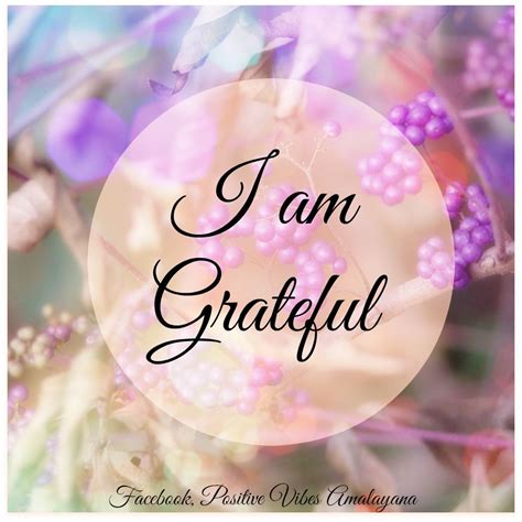20 Latest Grateful Heart Thankful Positive Blessings Quotes Poppy Bardon Blessings Pictures
