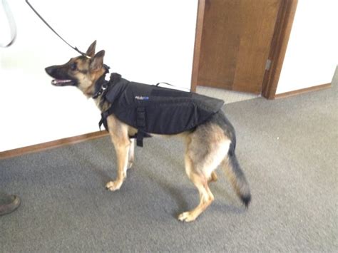 K 9 Bulletproof Vest Bulletproof Vests For Dogs