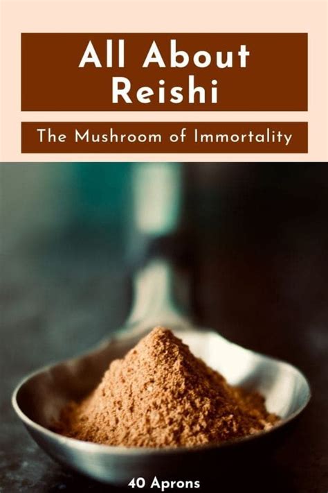 All About Reishi The Mushroom Of Immortality 40 Aprons