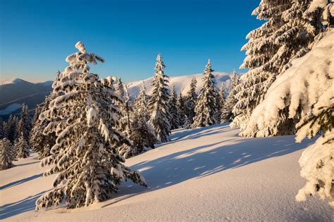 Magic Sunrise In The Winter Mountains After Snowfall Stock Image