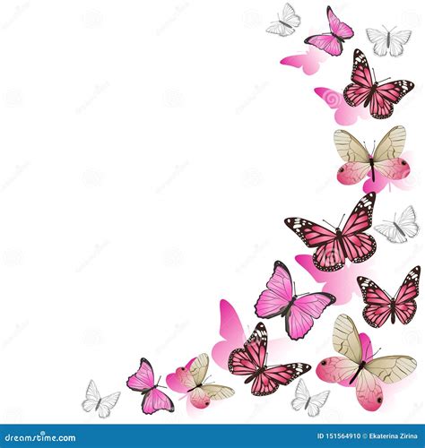 Frame Of Pink Butterflies In Flight Isolated On White Background Vector F1a