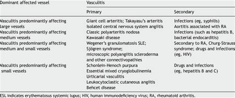 Classification Of The Different Vasculitis Download Table