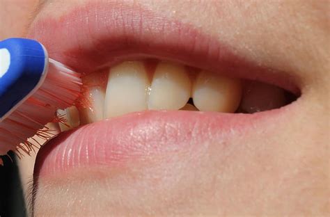 Girl Tooth Brushing Teeth Treat Teeth Dentistry Mouth Zahnreinigung Clean Smile Dental
