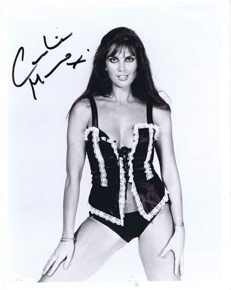 K806 Caroline Munro 10 X 8 Photo Signed In Person Collectibles And Art