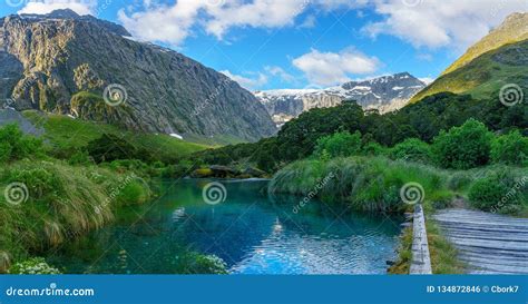 Wooden Bridge Over River In The Mountains Fiordland New Zealand 12