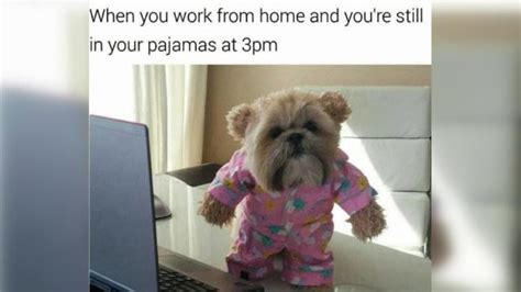 What to say to reconnect with old friends? Best Work From Home memes we found online while working ...