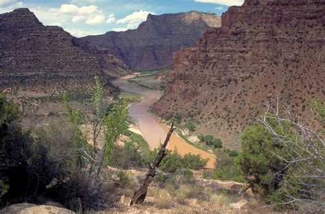 They are affordable rentals for families who are low income, seniors, or disabled. Public Domain Picture | Desolation/Gray Canyons near Price ...