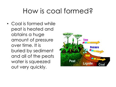 Sandstone and other sedimentary rocks were formed. Fossil fuels power point