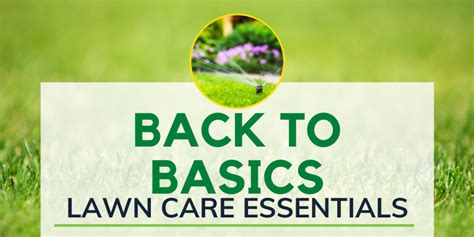 Back To Basics Lawn Care Essentials Lawn Doctor