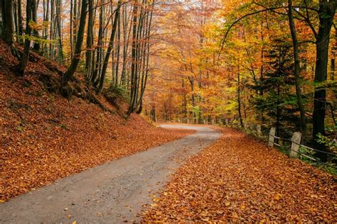 Autumn Themed Country Road With Mountain Range Concept Free Photo