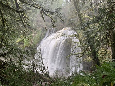 Little Mashel Falls Pack Forest — Washington Trails Association