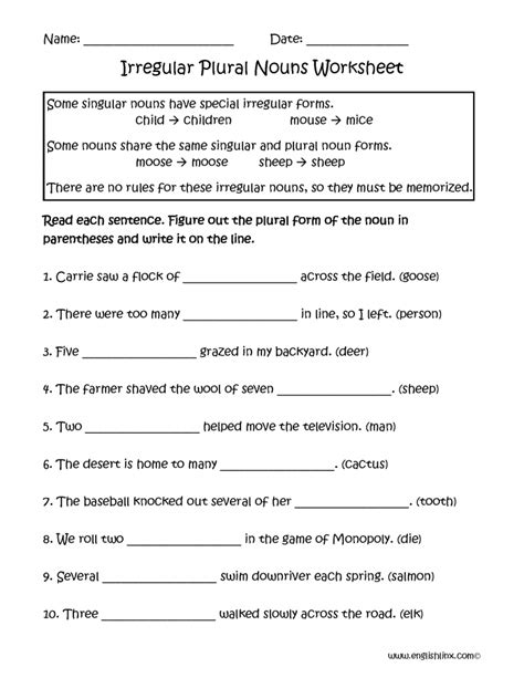 Irregular Nouns Worksheet For Grade 5	