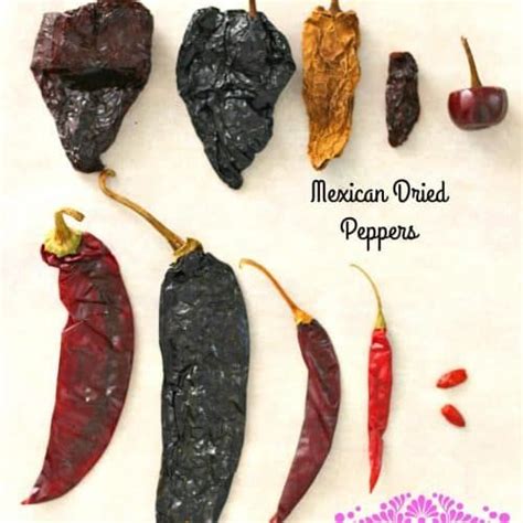A Beginners Guide To Mexican Dried Peppers Dried Peppers Stuffed