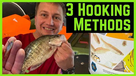 Three Ways To Rig Live Minnows For Crappie Youtube