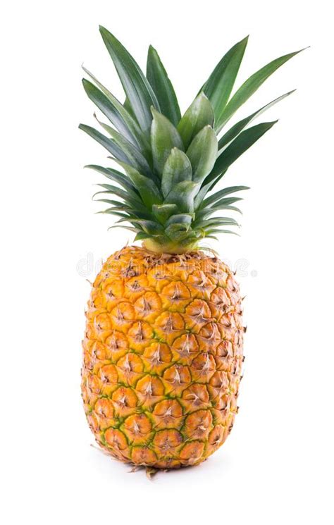Ripe Whole Pineapple Isolated On The White Stock Photo Image Of