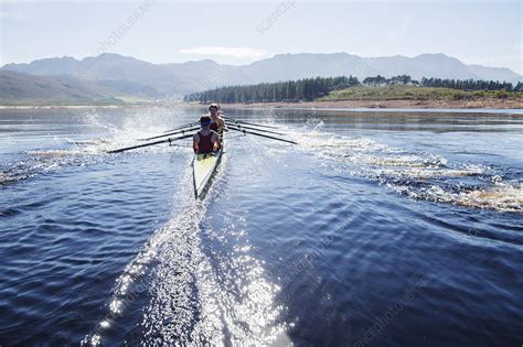 Rowing Crew Rowing Scull On Lake Stock Image F0139891 Science