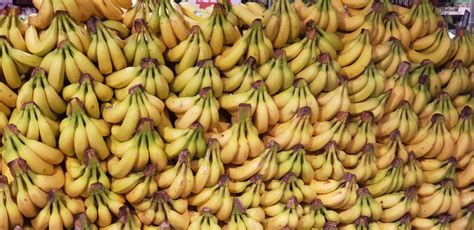 Bananas Banana Fruit Fruits Free Stock Photo Public Domain Pictures