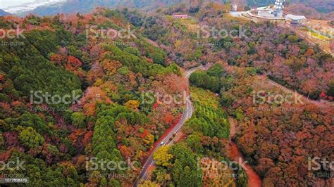 Aerial View Of Red Fall Foliage In Autumn Trees In Japan On Hills Green