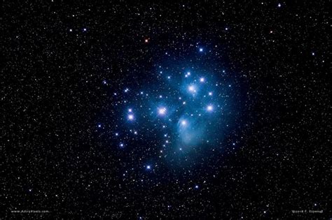 Pleiades Star Cluster Aka Seven Sisters Astronomy