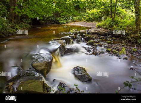 Rivelin Valley Hi Res Stock Photography And Images Alamy