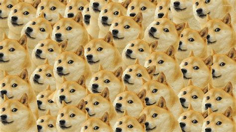 62 Doge Meme Wallpaper Pc
