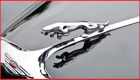 50 jaguar logos ranked in order of popularity and relevancy. Jaguar Logo - Das Welt Auto Logo