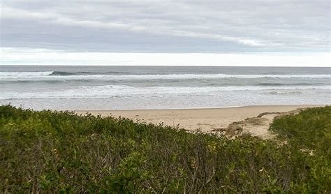 Seven Mile Beach National Park Learn More Nsw National Parks