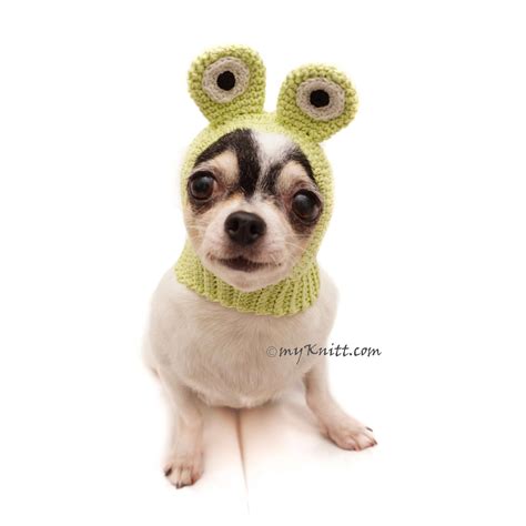 Dog Hat Crochet Frog Funny Pet Hats Dog Hat Chihuahua Cat Etsy