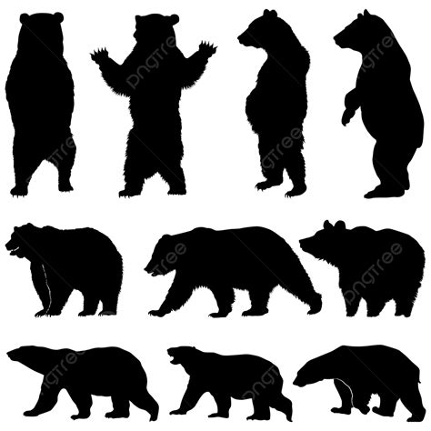 Vector Silhouette Bear Various Silhouettes On The White Background