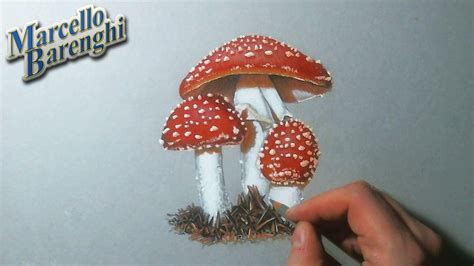 How To Draw Mushroom Realistic Drawing Mushroom Drawing Color Pencil