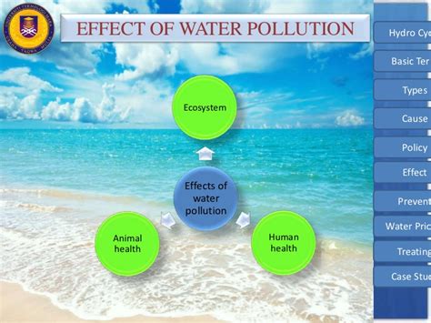 Effects Of Water Pollution Teenage Sex Quizes