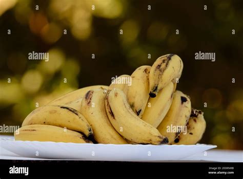 Yellaki Bananas Hi Res Stock Photography And Images Alamy