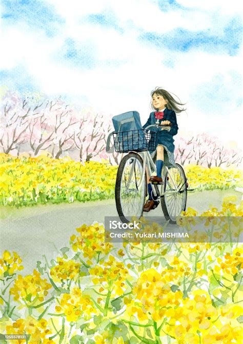 A High School Girl Riding A Bicycle Stock Illustration Download Image Now High School